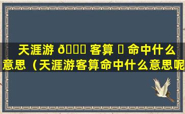 天涯游 🐒 客算 ☘ 命中什么意思（天涯游客算命中什么意思呢）